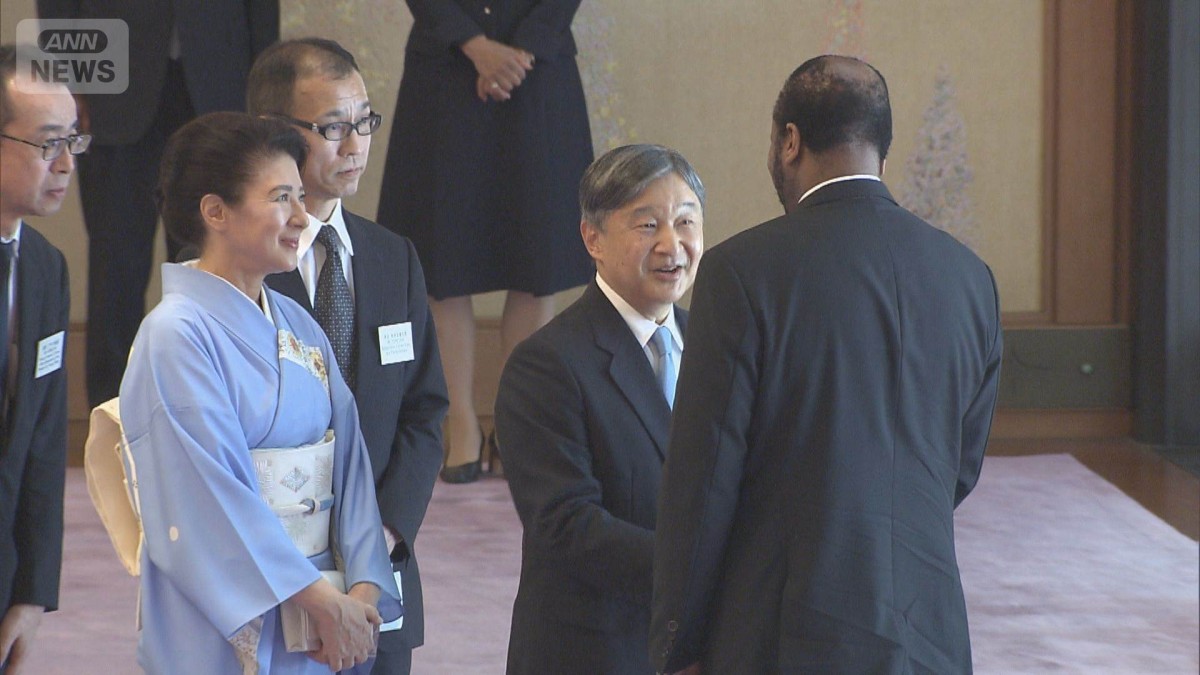 天皇皇后両陛下 アフリカ各国首脳らと茶会