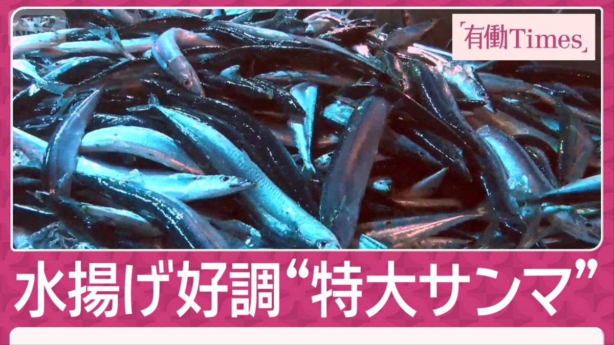 猛暑で海に異変 東京湾に“南国魚”&サンゴ 北海道でブリ豊漁 日本の食卓が激変?