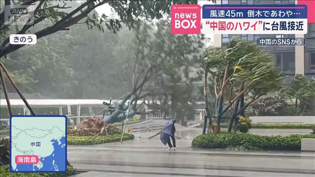 “中国のハワイ”に台風接近　風速45m 倒木であわや…