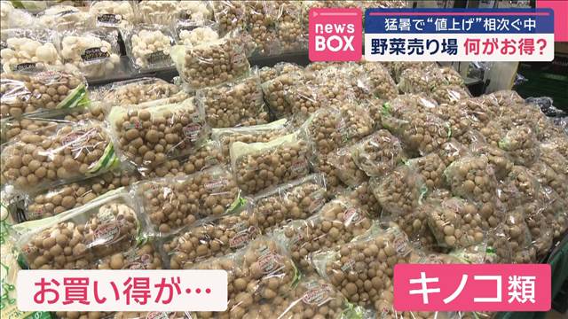 猛暑で“値上げ”相次ぐ中…野菜売り場　何がお得？