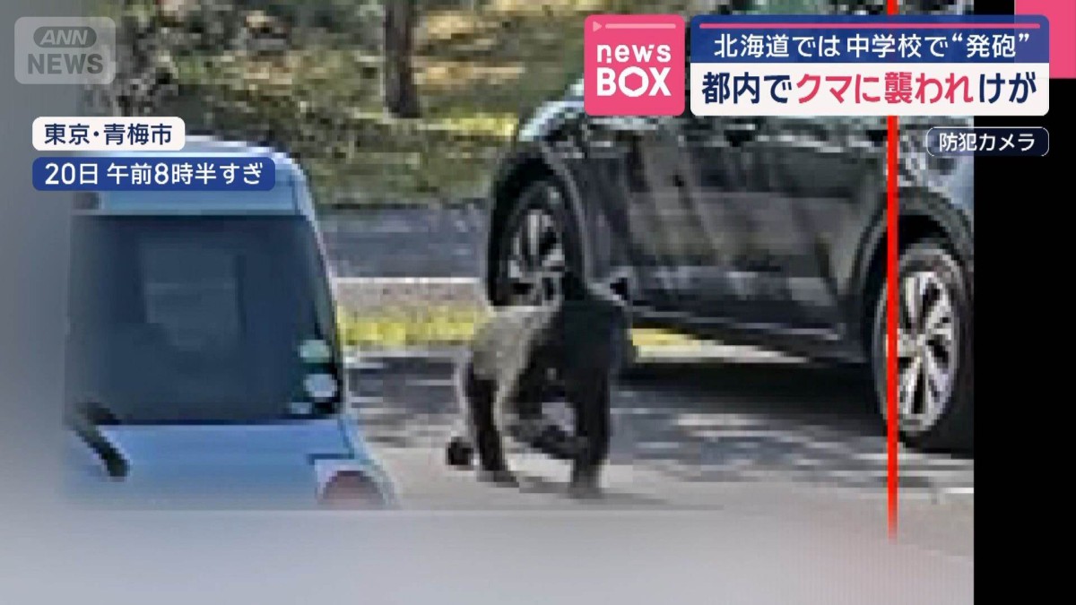 都内でクマに襲われけが　北海道では中学校で“発砲”