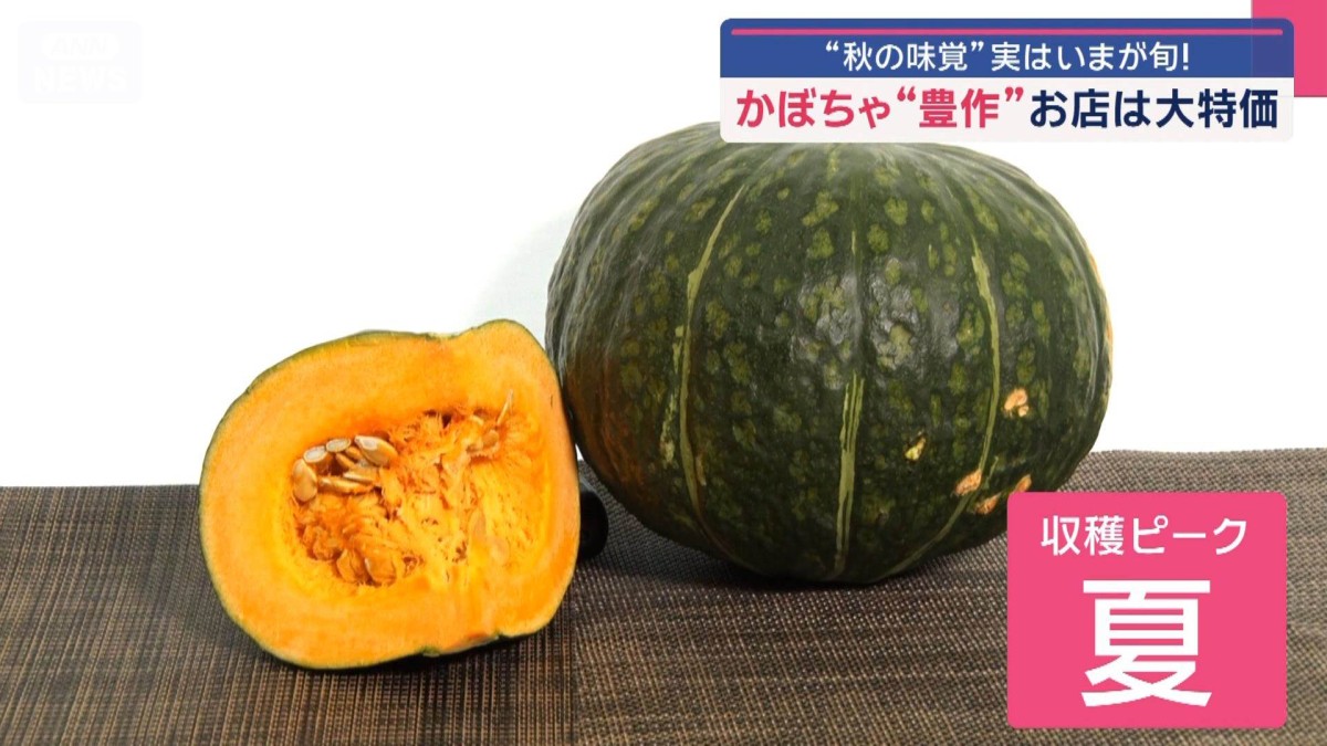 かぼちゃが豊作 お店は大特価　レシピいろいろ“秋の味覚” 実はいまが旬！