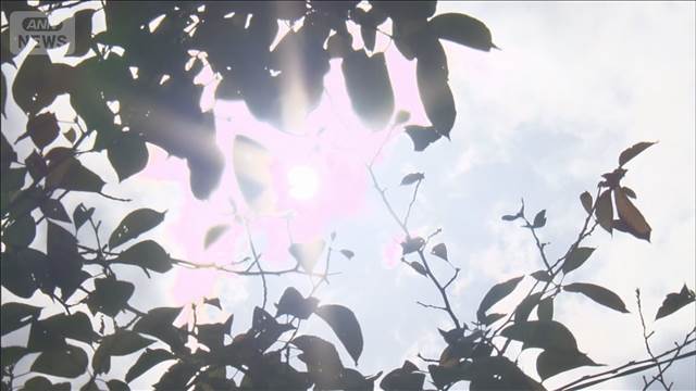 今年一番の暑さへ　猛暑日増加　あすは40℃予想 2025年08月29日(金)
