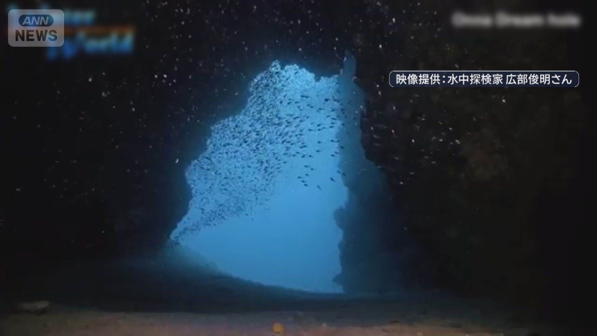 “スネークホール”2人死亡　沖縄の“海中洞窟”で何が？