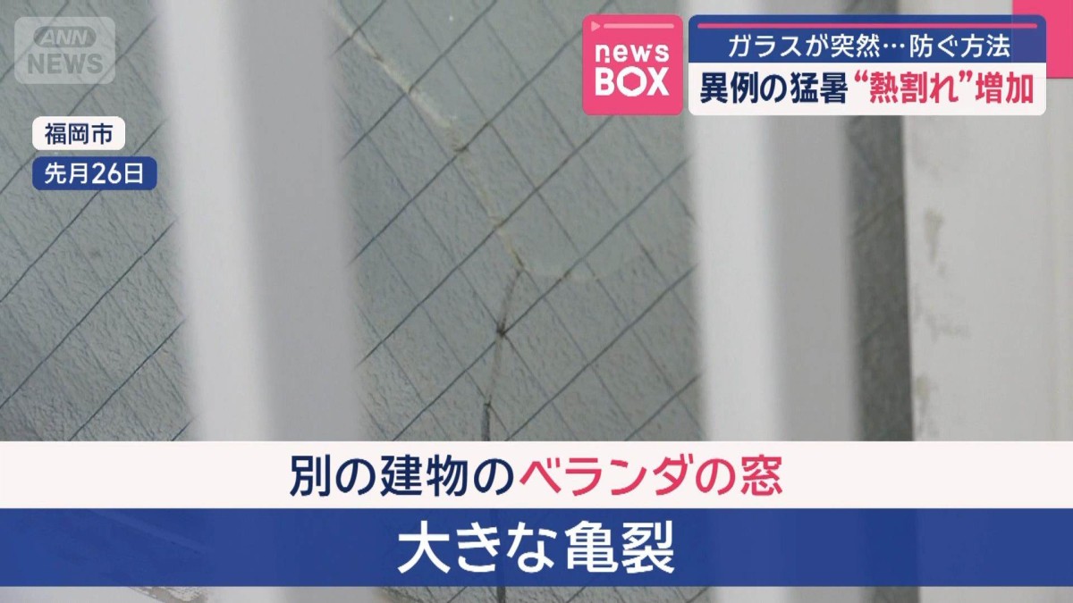 異例の猛暑でガラスが突然…　急増する“熱割れ” 防ぐ方法は