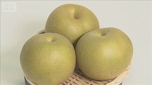 ナシ“栄養とれる”切り方　輪切り？スティック？ウサギ？