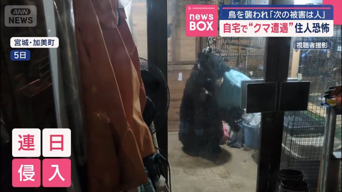 自宅で“クマ遭遇”住人恐怖　鳥を襲われ「次の被害は人」