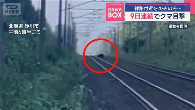 9日連続でクマ目撃　線路付近をのそのそ…