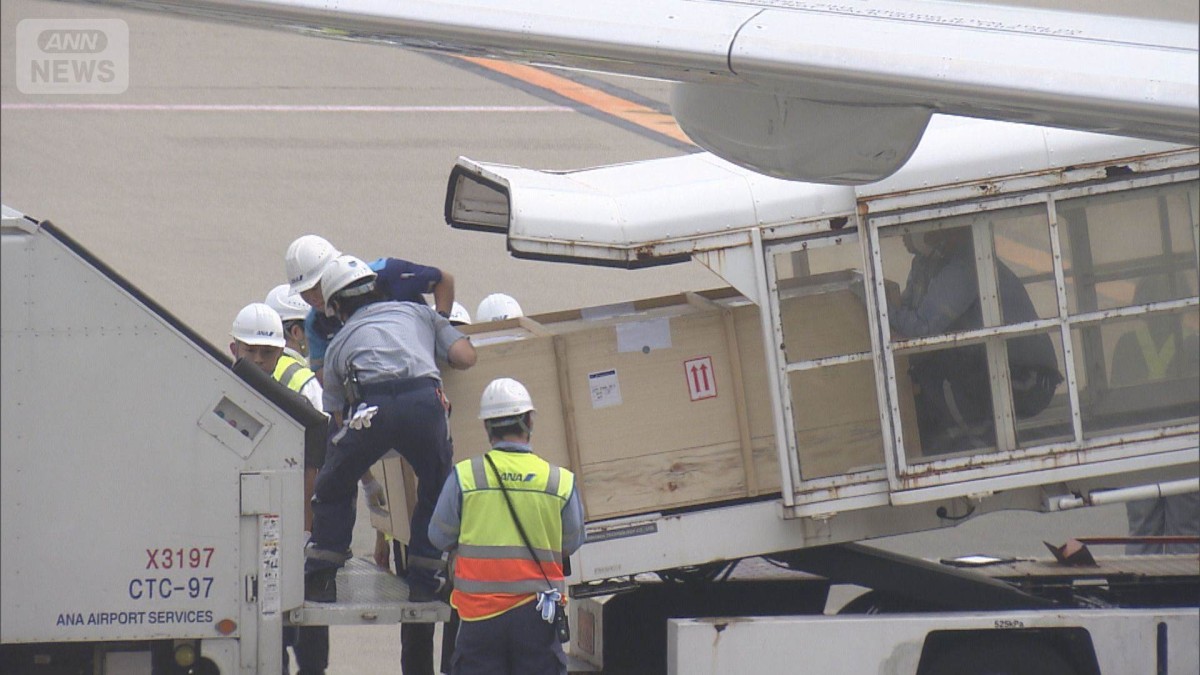 マニラ日本人2人殺害　死因は「頭蓋内損傷」　1人は弾が貫通　警視庁が司法解剖