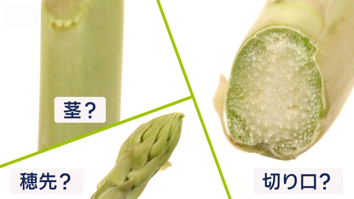 野菜高騰でも“この時期安い”　“お得な”アスパラガスの選び方