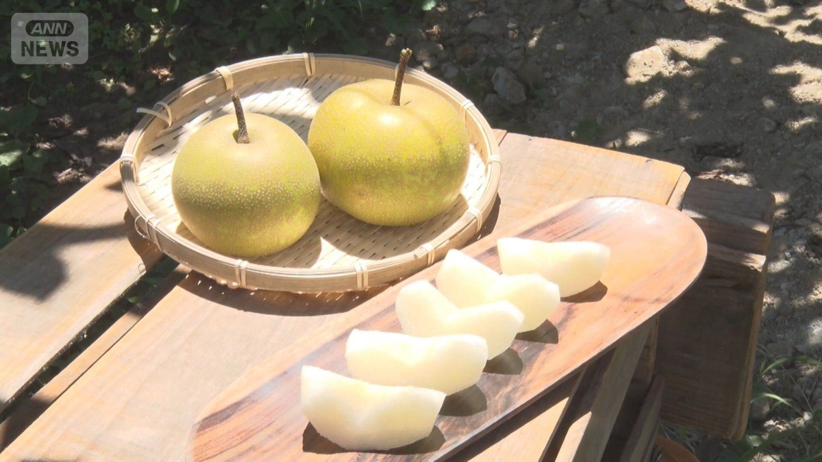 ナシ“甘くなる”裏ワザ　コツは“皮をむく時”　家にあるモノですぐできる