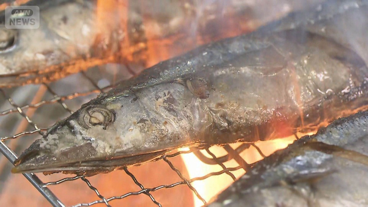 サンマ豊漁も“早く食べて” 「かなり安い」なのに…なぜ?