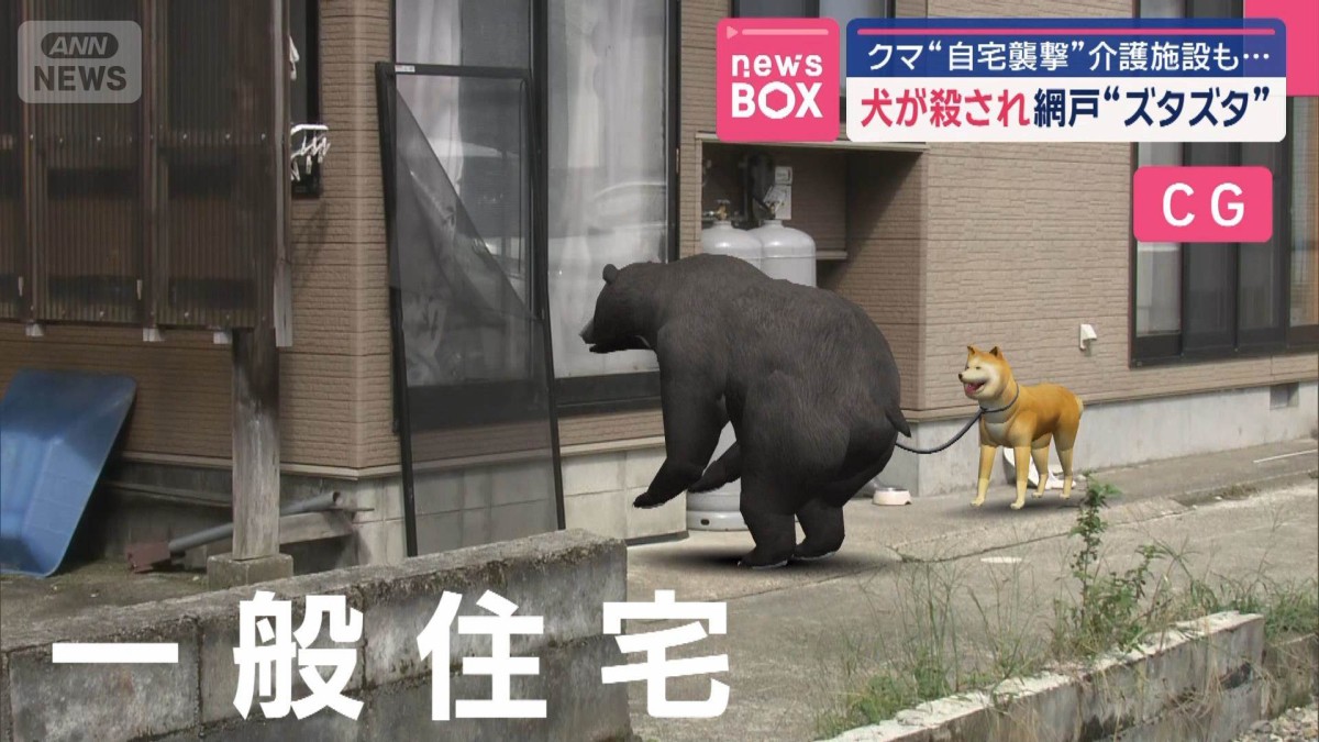 クマ“自宅襲撃”介護施設も… 犬が殺され網戸“ズタズタ”
