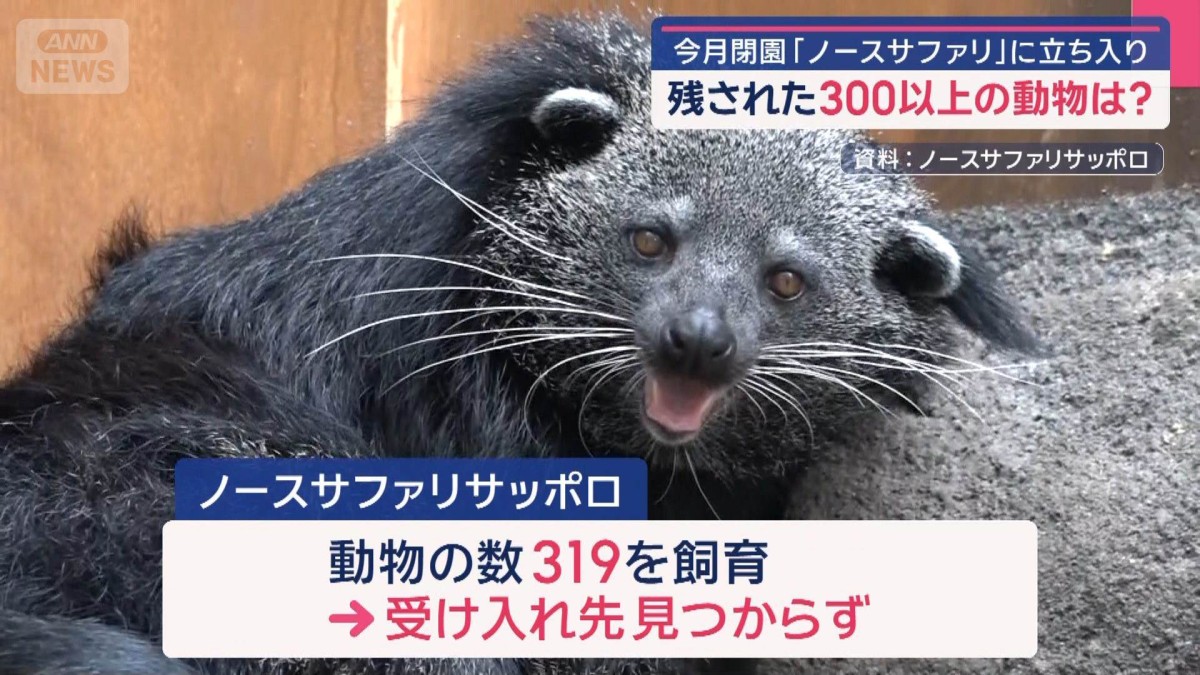 9月閉園「ノースサファリ」に立ち入り　残された300以上の動物は？