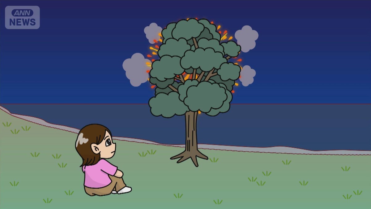 8000円有料席「花火見えない」鹿児島市が謝罪 払い戻しNGから一転 全額返金など対応へ