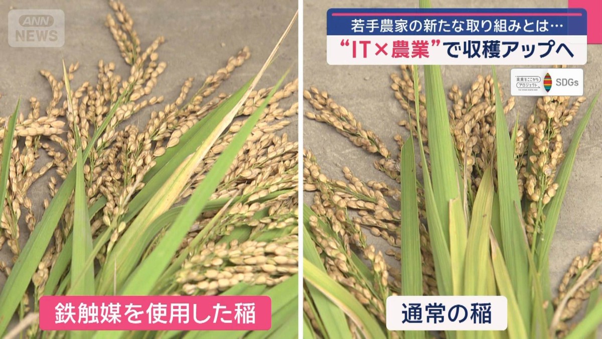 若手農家の新たな取り組みとは… “IT×農業”で収穫アップへ