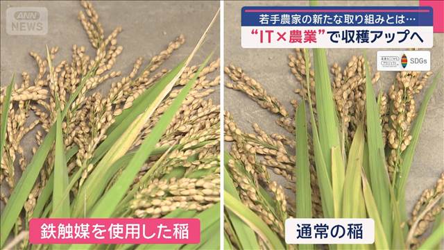 若手農家の新たな取り組みとは… “IT×農業”で収穫アップへ