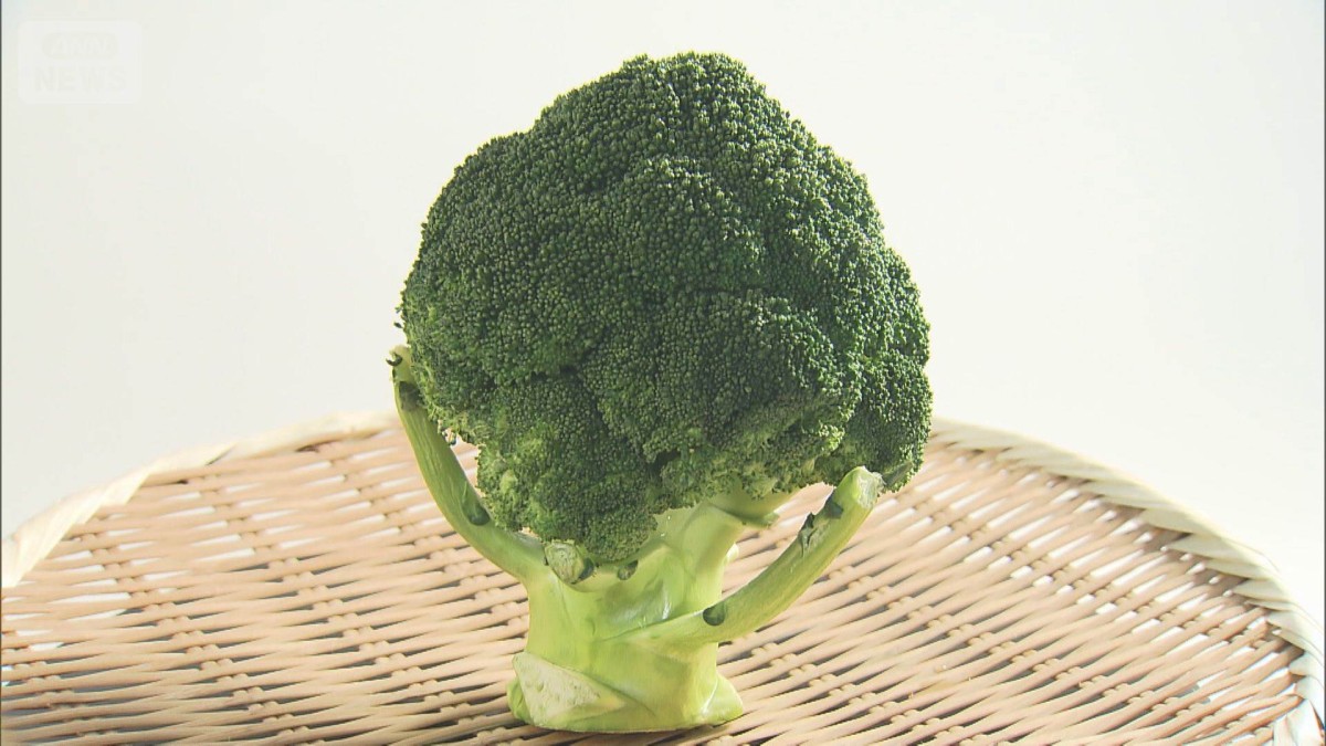 “美味”ブロッコリー選び方　見るべきは…つぼみ？茎？形？