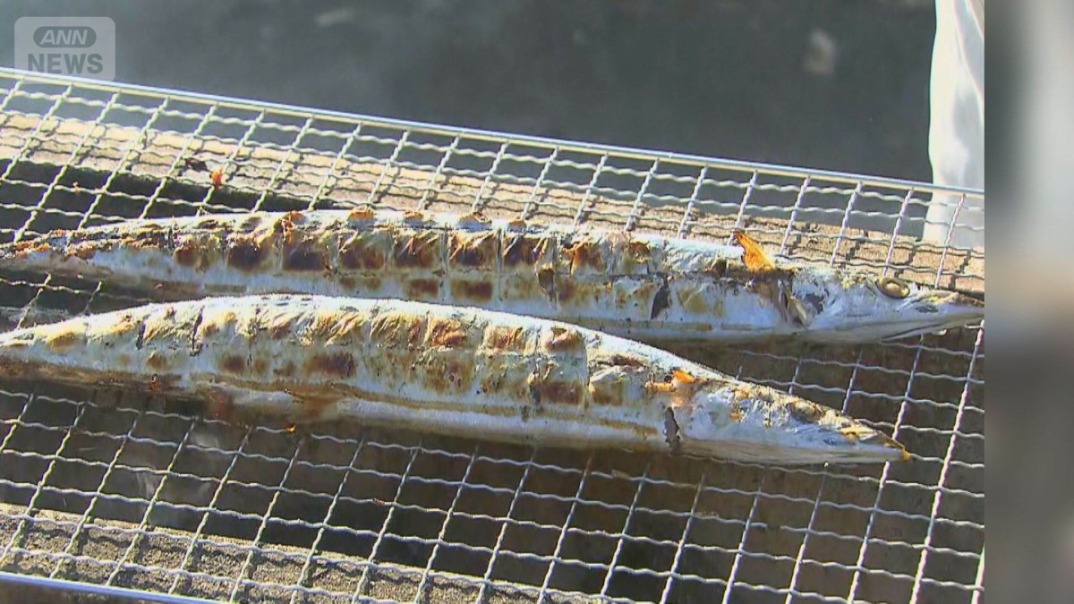 サンマ豊漁でも“中止” 人気イベントに何があった？宮城・気仙沼市