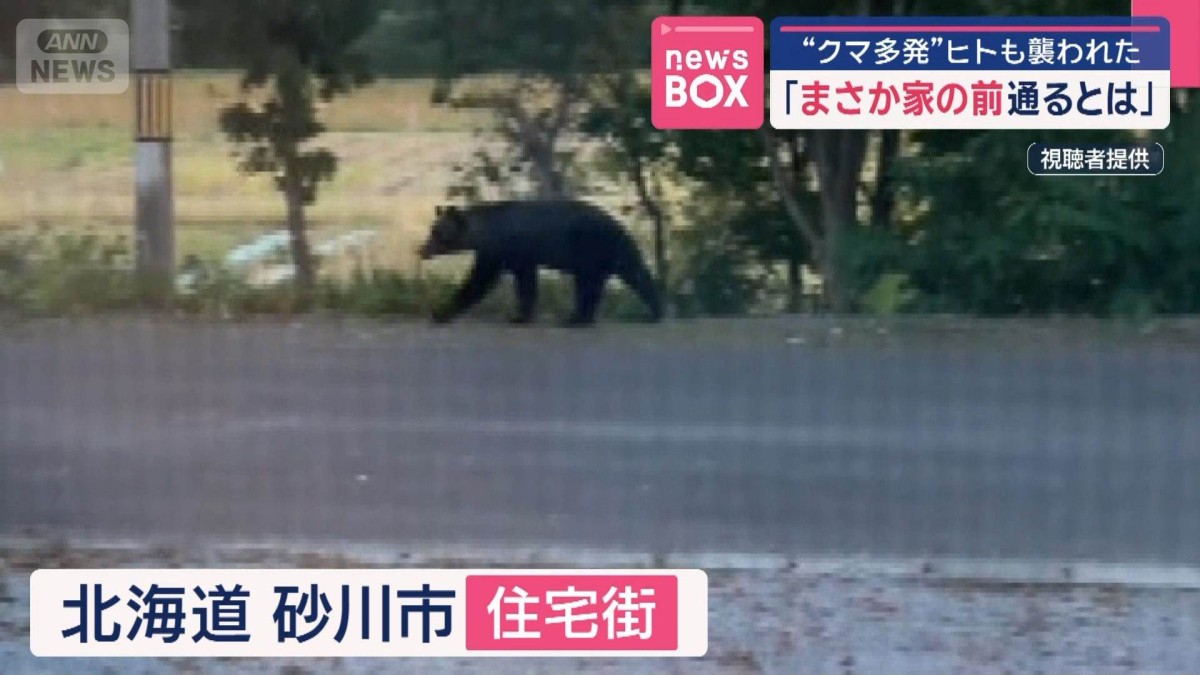 「まさか家の前通るとは」“クマ多発”ヒトも襲われた