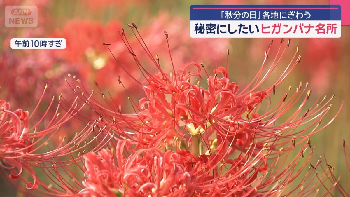 “秋の便り”各地から 芋煮&朝どれサケで食欲を満たす 秘密にしたいヒガンバナ名所