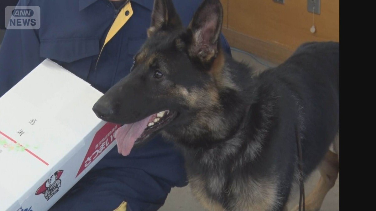 “スーパー警察犬”急死　2カ月連続で行方不明者発見