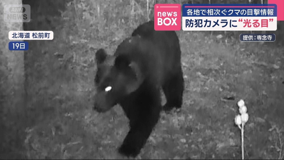防犯カメラに“光る目” 自転車と衝突も 各地で相次ぐクマの目撃情報