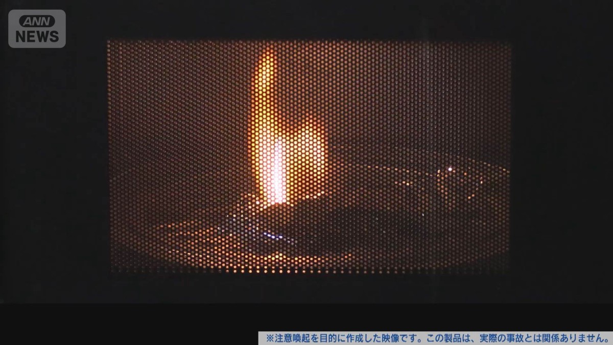 電子レンジなど調理家電の事故に注意　5年間で388件　説明書の確認呼びかけ