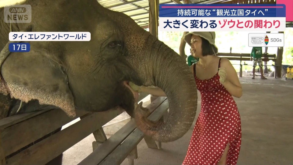持続可能な“観光立国タイへ” 大きく変わるゾウとの関わり【SDGs】