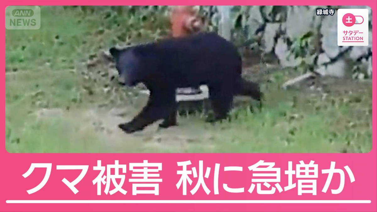 2日間で9人がクマ被害に…10月さらに急増おそれも 紅葉シーズン迎え行楽地も警戒