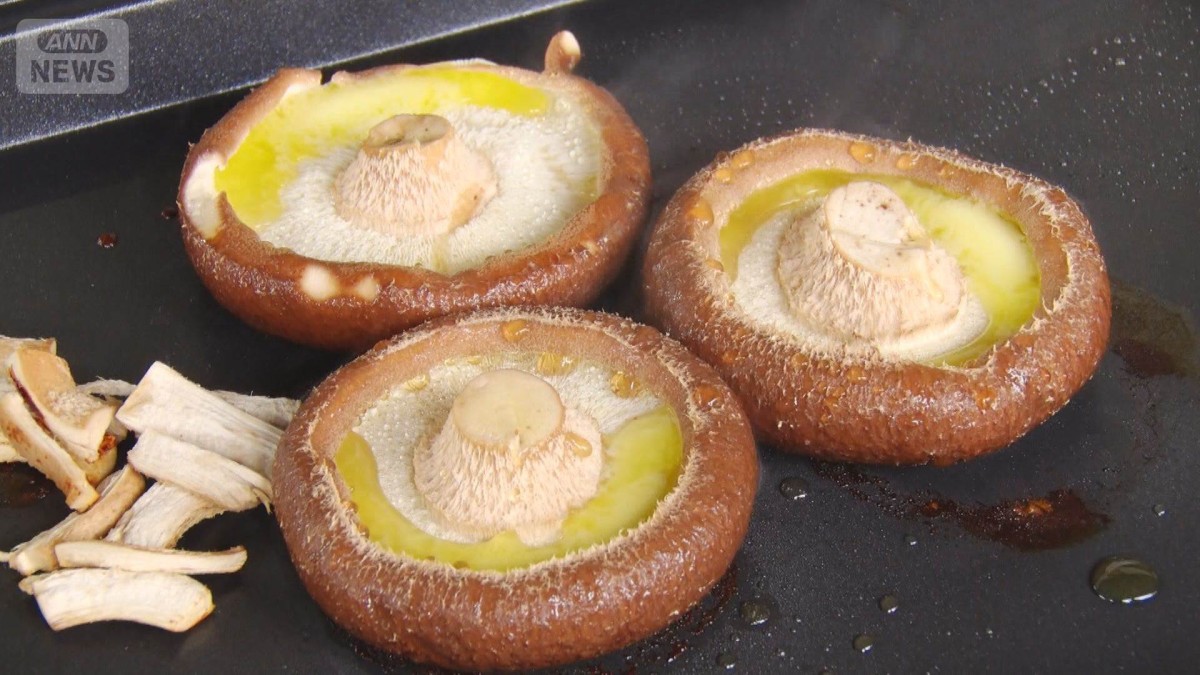 “美味”シイタケの見分け方　キノコはマツタケだけでない