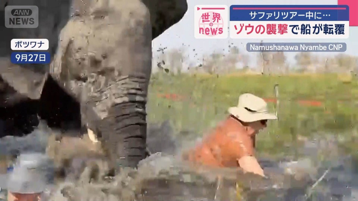 サファリパーク 事故