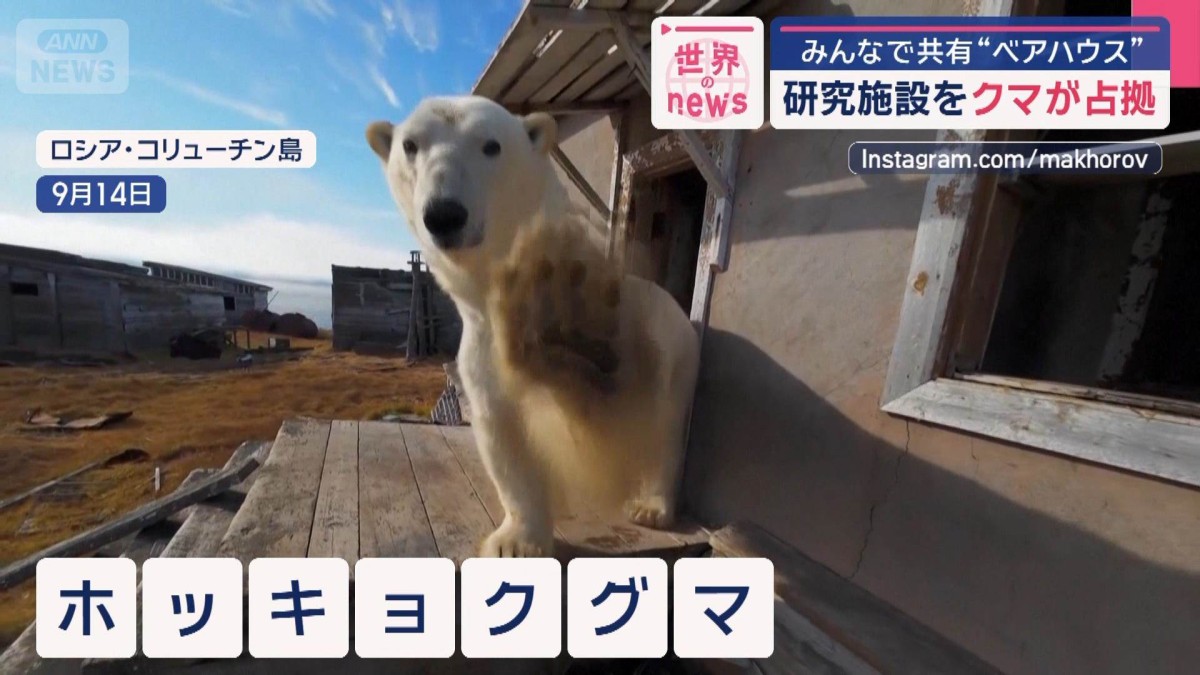 研究施設をクマが占拠　みんなで共有“ベアハウス”　ロシア
