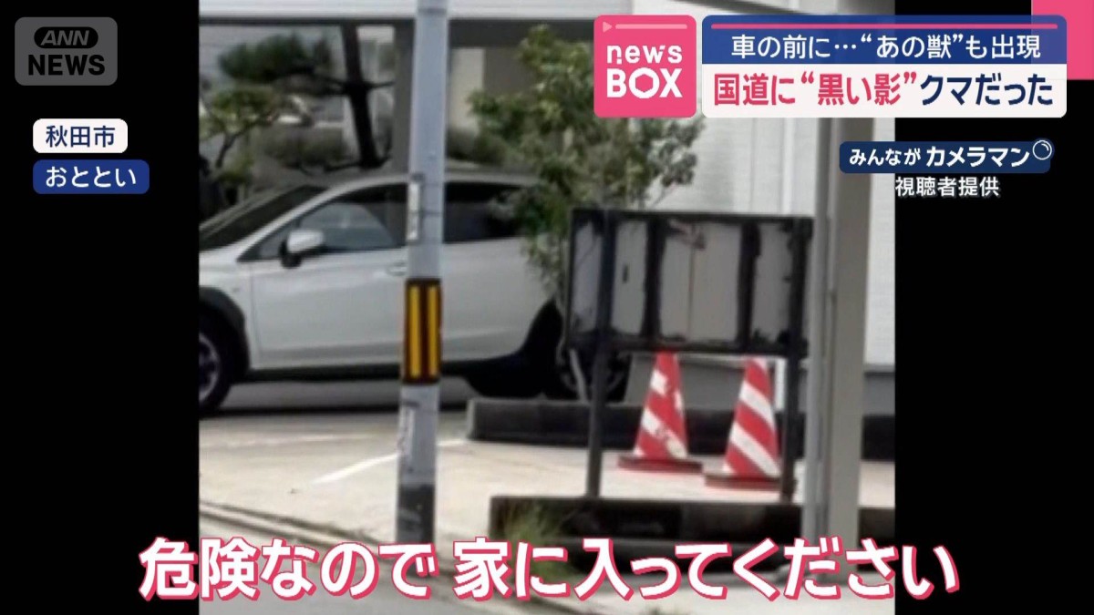 国道に“黒い影”クマだった　車の前に…“あの獣”も出現