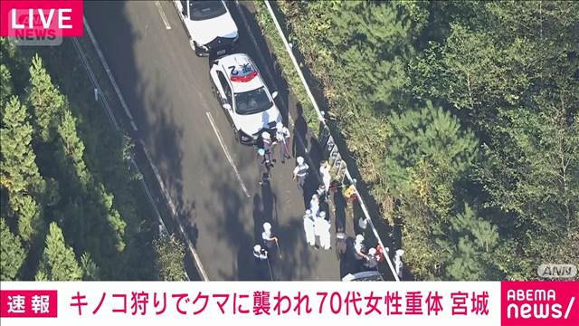 「クマに襲われた」キノコ狩りで入山の4人グループから通報　70代女性重体　宮城