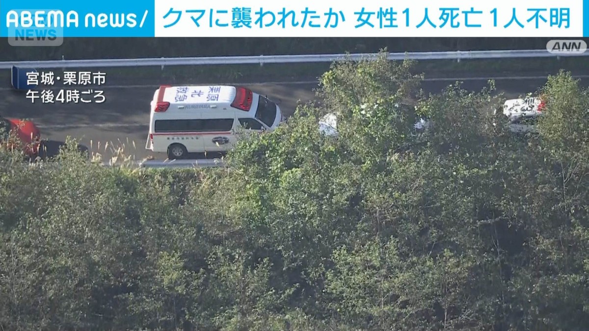 宮城県の山中でクマに襲われたとみられる70代女性の死亡を確認　宮城県警