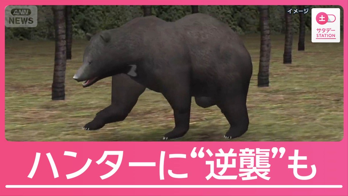 散歩中に背後から襲撃、ハンターへ“逆襲”も…各地でクマ人身被害相次ぐ