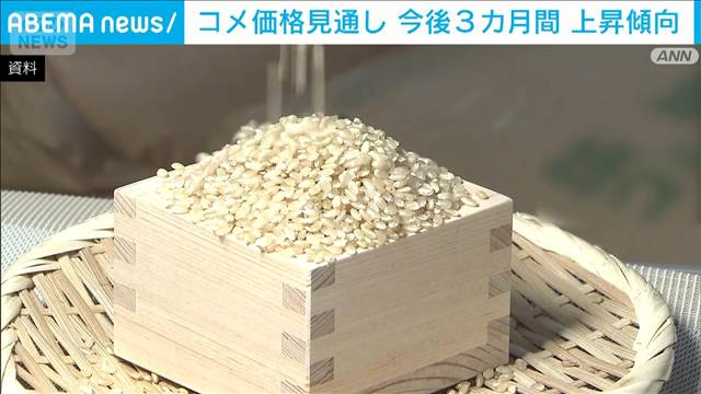 コメ価格見通し　2か月連続で横ばい上回る　米穀安定供給確保支援機構