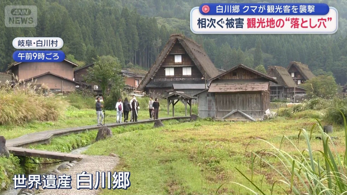 白川郷　クマが観光客を襲撃　相次ぐ被害　観光地の“落とし穴”