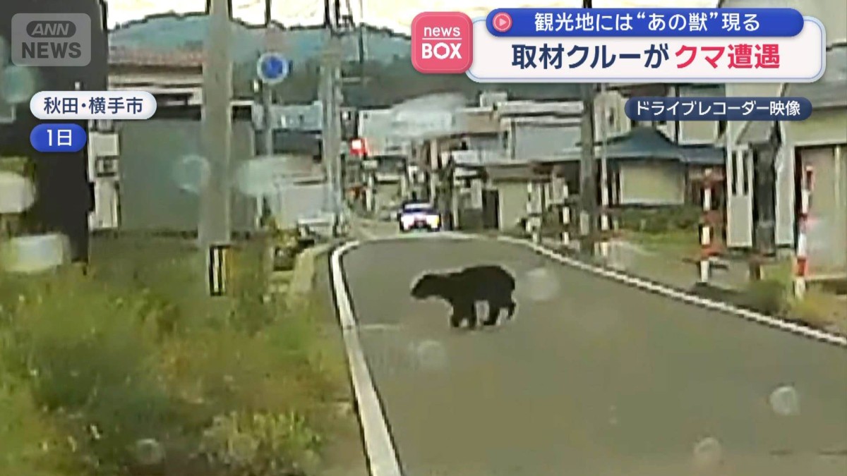 取材クルーがクマ遭遇　観光地には“あの獣”現る