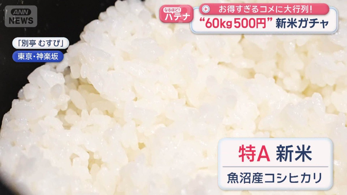 “60kg500円”新米ガチャ　お得すぎるコメに大行列！