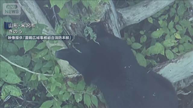 各地でクマの出没相次ぐ　福島で男性2人襲われる