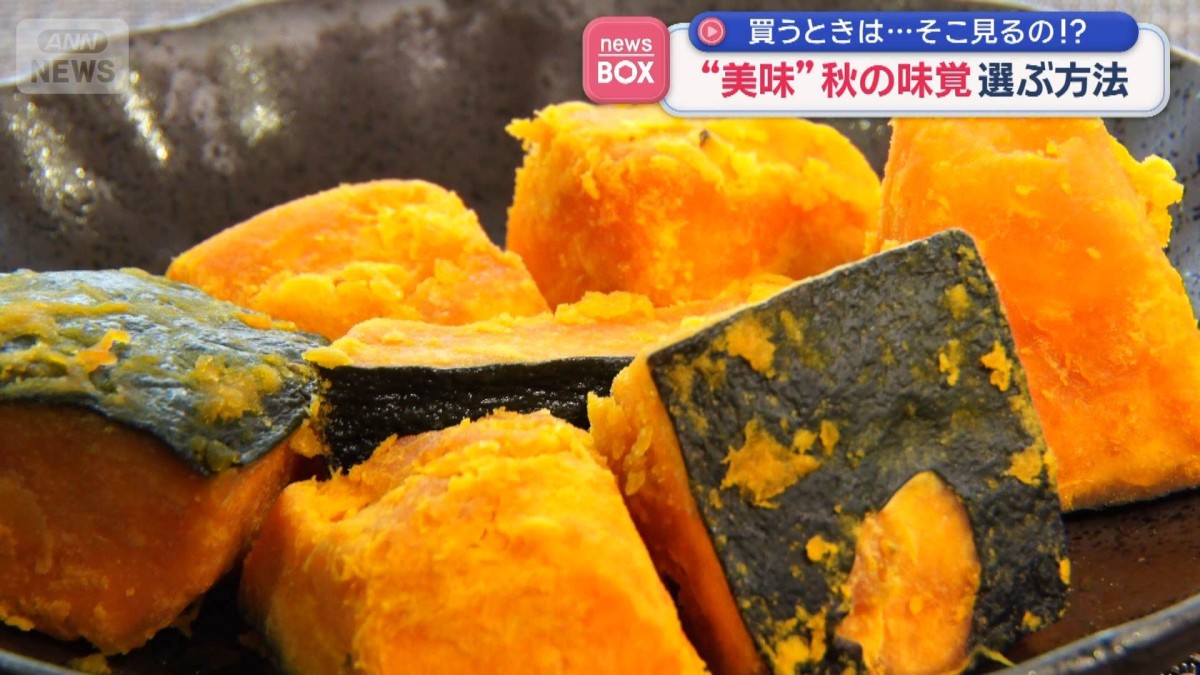 “美味”カボチャ選ぶ方法　見る点は…ヘタ？皮？お尻？