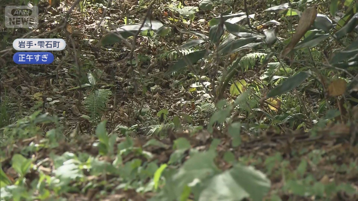 キノコ採りで不明の70代男性が遺体で見つかる クマに襲われたか