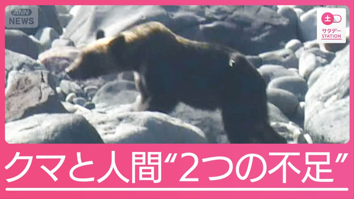 「日本は全世界でも緊迫した状況」クマ被害相次ぐ背景に“2つの不足”