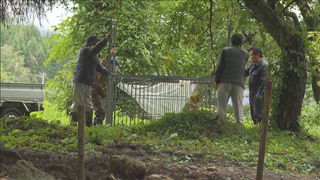 各地でクマ被害相次ぐ　山形・秋田で2人けが