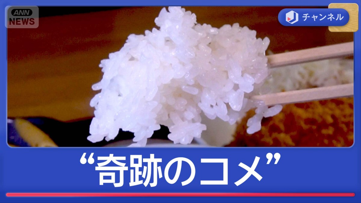 価格高騰のなか…“奇跡のコメ”おいしさの秘密