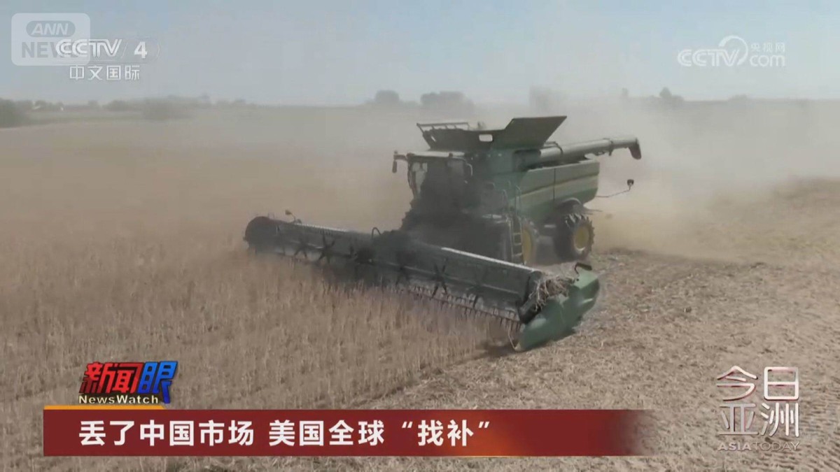 米国産大豆輸入減の中国に報復示唆　中国は貿易摩擦見据え輸入先を多角化