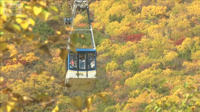 秋の絶景！富山・立山ロープウェイで紅葉の大パノラマ