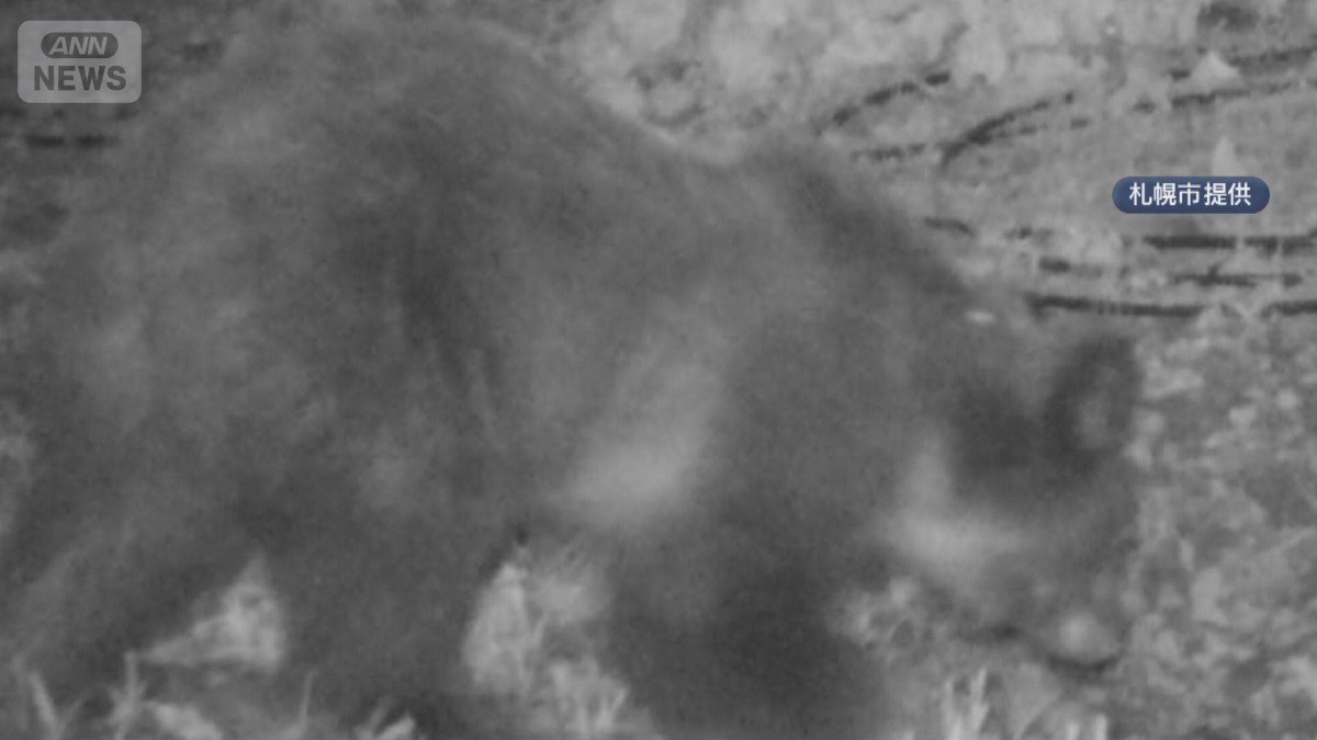 きょうも全国でクマ被害相次ぐ　特養ホーム近くで1頭駆除